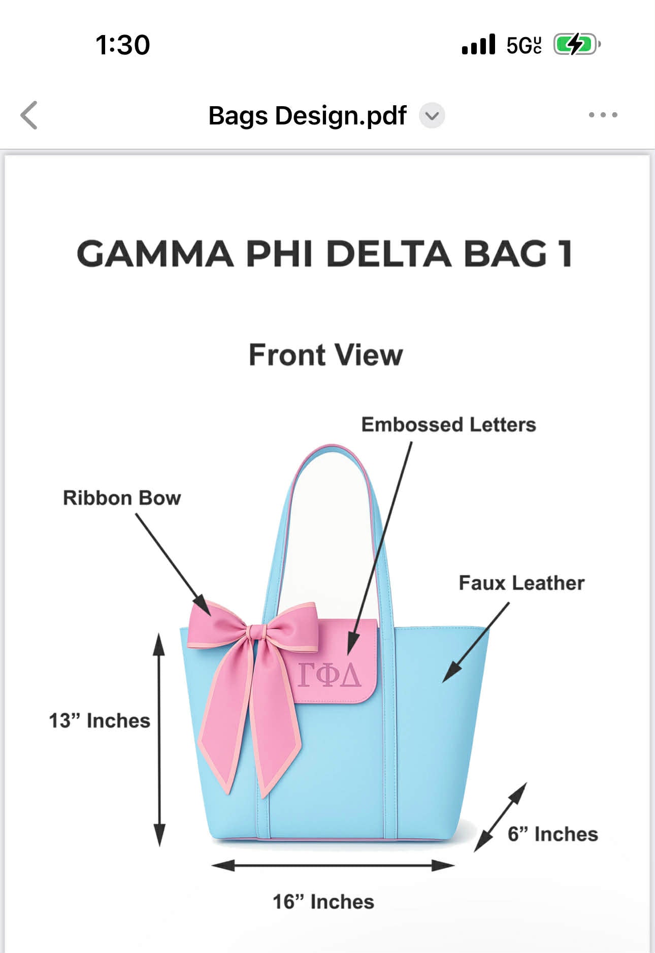 Gamma Phi Delta Custom  Bag