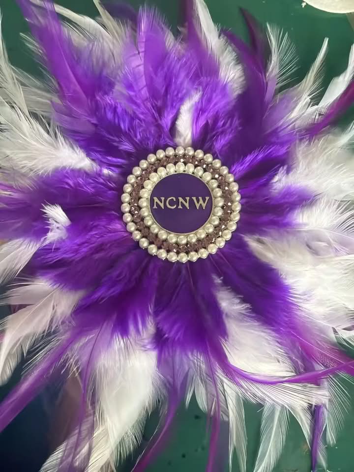 NCNW Elegant Feather & Pearl Hair magnet