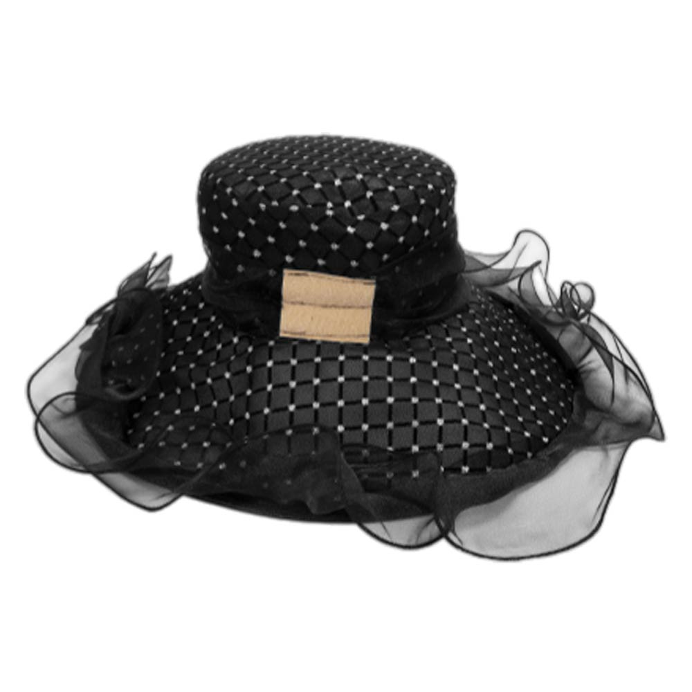Elegant Feather Floral Accent Fascinator Headband Hair Clip Dressy Hat Black
