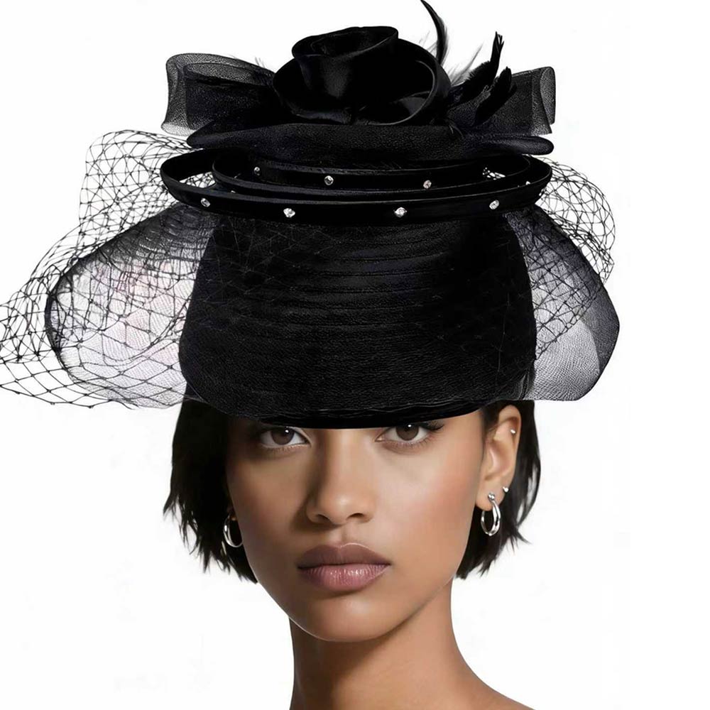 Elegant Floral Feather Accent Rhinestone Embellished Mesh Veil Fascinator Dressy Hat Black