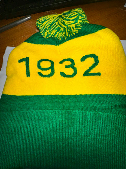 Chi Eta Phi Hat & Scarf Set High Quality